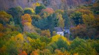 Paysage 4